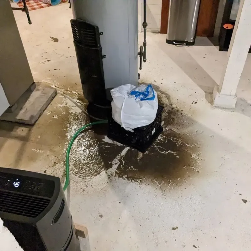 Sewage Backup Cleanup Service in California, MO